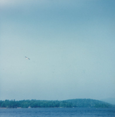 g1/55/599955/3/108242585.IUPZMpls.jpg