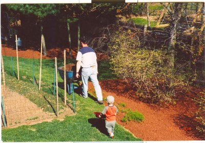 Dad and  son spreading mulch with their wheel barrows