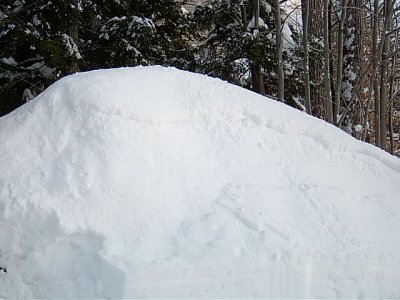 Just one of many piles of the white stuff in RLW's yard