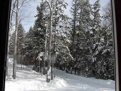 Looking up the driveway