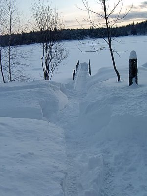 Path to the pier