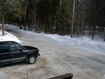 View of the driveway after the rain and freezing. Yep, thats pure ice