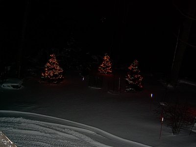 We love to brighten the evening on the lake during the holidays
