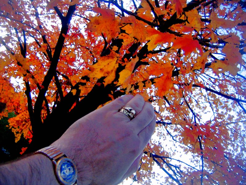 youll NEVER walk alone~~~my october promise!!! :):):) 