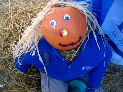 FREEE GLEEE O'AAAHHHOOOSOME AUTUMN :):):)