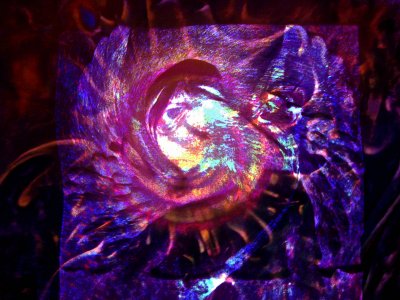 g1/55/632355/3/107817588.XsACPslz.jpg