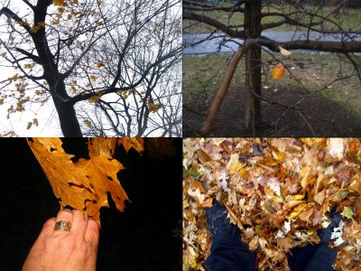 nurturing november illuminates why i AWELOVE BEEEing STRANGE #1!!!! :):):):)
