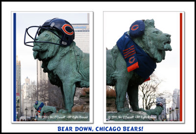 Go Chicago Bears! One more game - Super Bowl Champs!