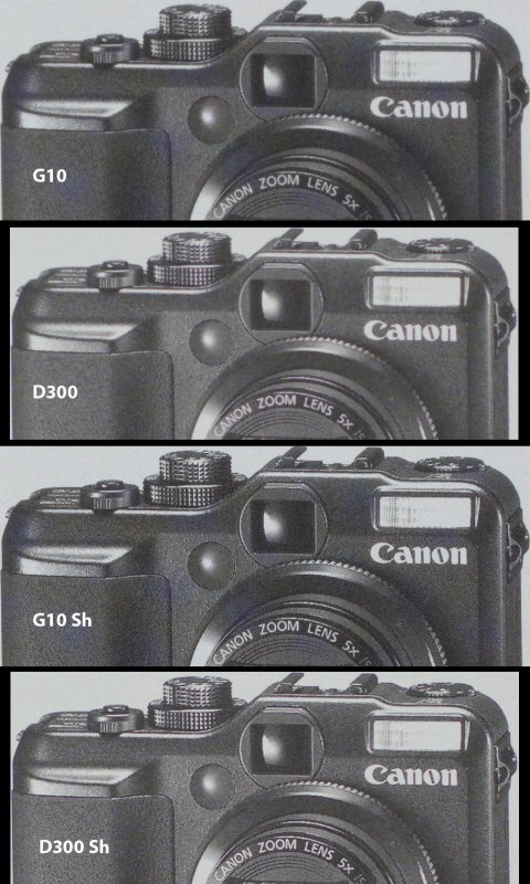 G10vsD300.jpg
