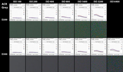 Noise Test D200 vs D300ACRGrey.jpg