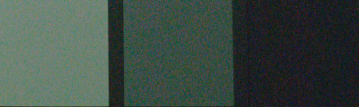 DSC_6350CropR800.jpg
