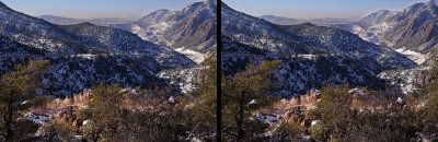DSC_3538R500Stereo.jpg