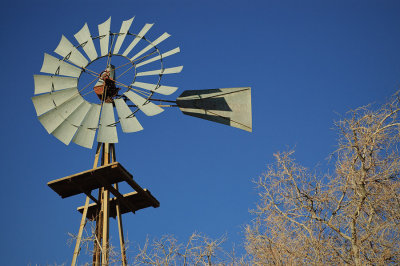 DSC_3156R900.jpg (Windmill)