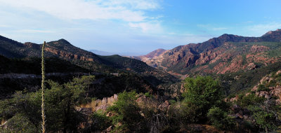 DSC_0079R900.jpg