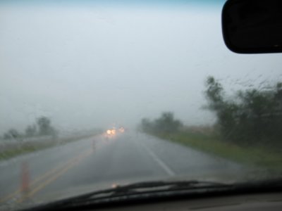 IMG_0395R800.jpg