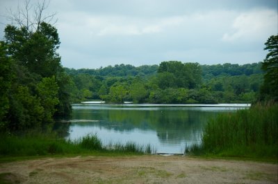 DSC_4095R800.jpg
