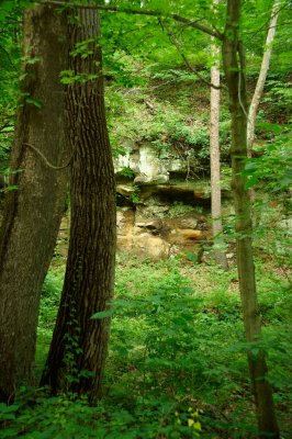 DSC_4109R800.jpg