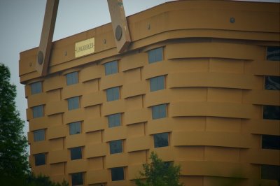 DSC_4119R800.jpg