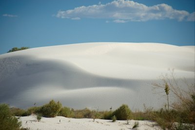 DSC_4160R800.jpg
