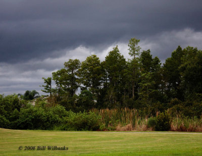 Ikes Outer Bands 02.jpg