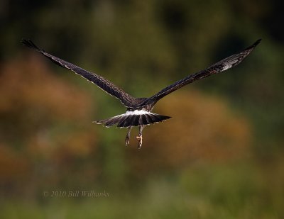 september_2010