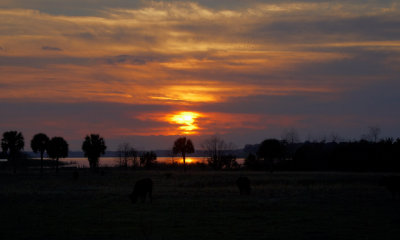 Sunset  Over the Lake.jpg