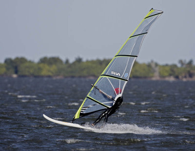 Wind Surfer.jpg