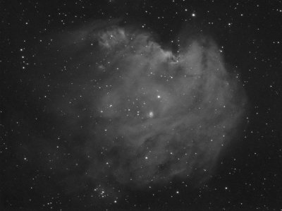 NGC2174 Single Exposure