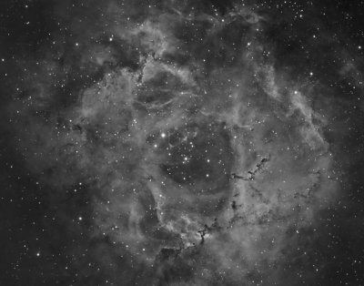 NGC2237 Crop