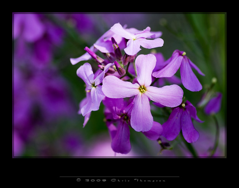 IMG4103 copy.jpg