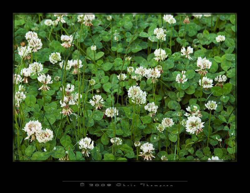 IMG4143 copy 2.jpg