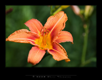 IGP0086 copy.jpg