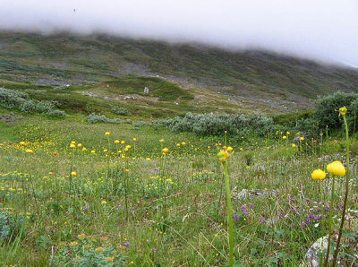 Sandslandet Lappland 2008 ett ventyr i storslagen vildmark