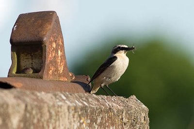 Fotoutflykt till bl.a Nolmarkens naturskyddsområde vid Skultorp