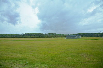 Outer banks, NC