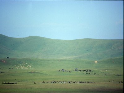 ruoergai grassland