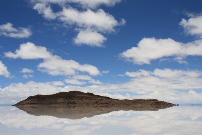 Isla Pescado in Salar De Uyuni