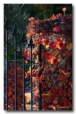 IMG_5076 Automne Portail