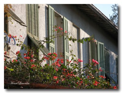 Ruelle et Bougainvillie