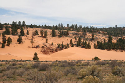 Coral Pink Sand Dunes State Park