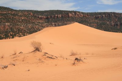 Coral Pink Sand Dunes State Park