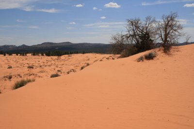 Coral Pink Sand Dunes State Park