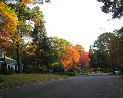 fall07-2.jpg