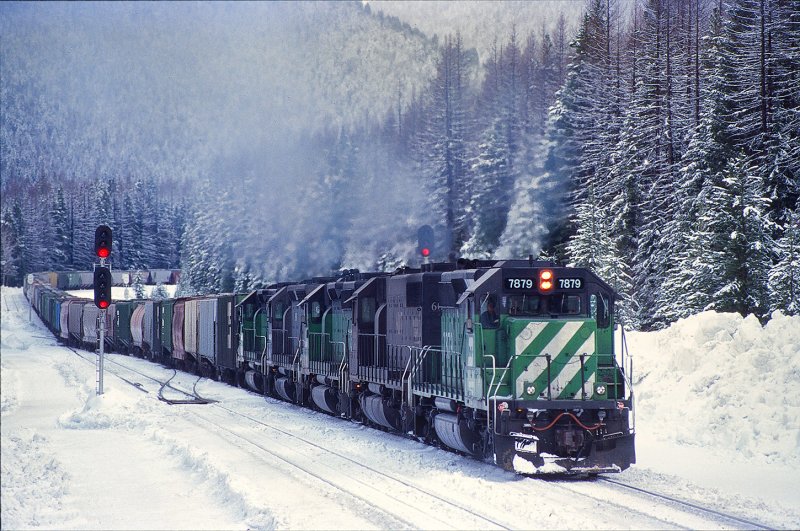 Essex, MT