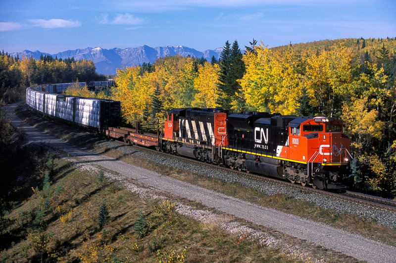 Dalehurst, AB