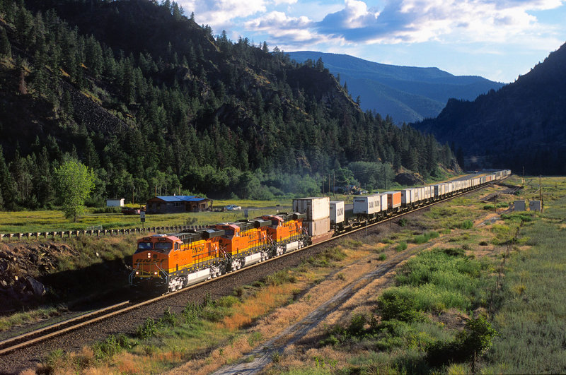 MRL20050005.jpg