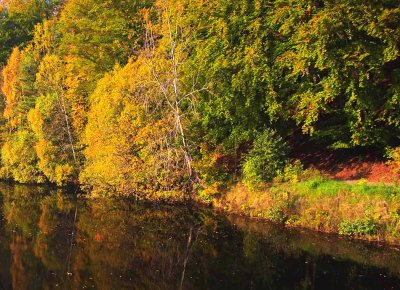 Autumn Colours