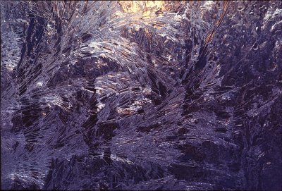 Frosty Cellar Window