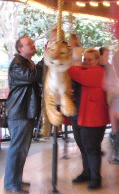 carousel 3.jpg