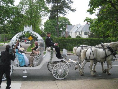 horse and carraige 3.jpg